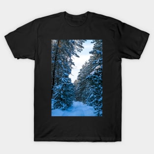 Winter landscape with snow-covered spruce forest. T-Shirt